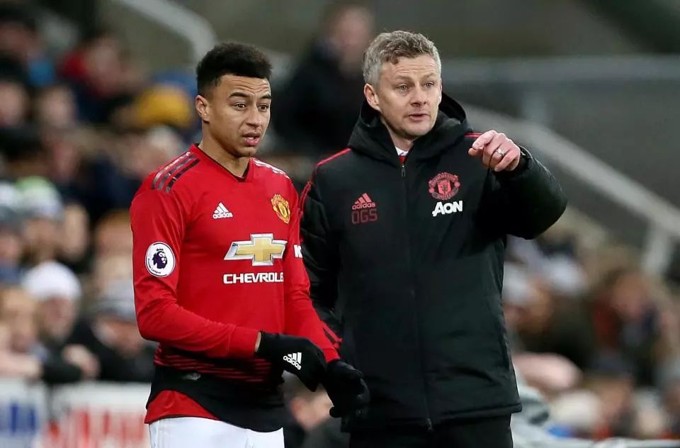 约基奇的传 约基奇的传