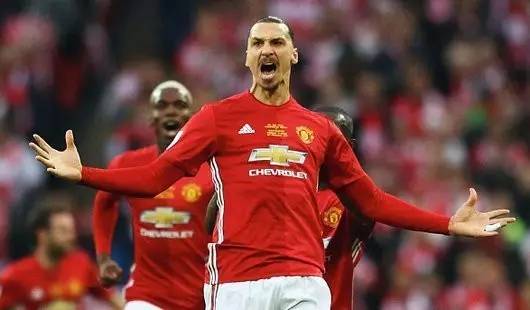 是组织者的 是组织者的